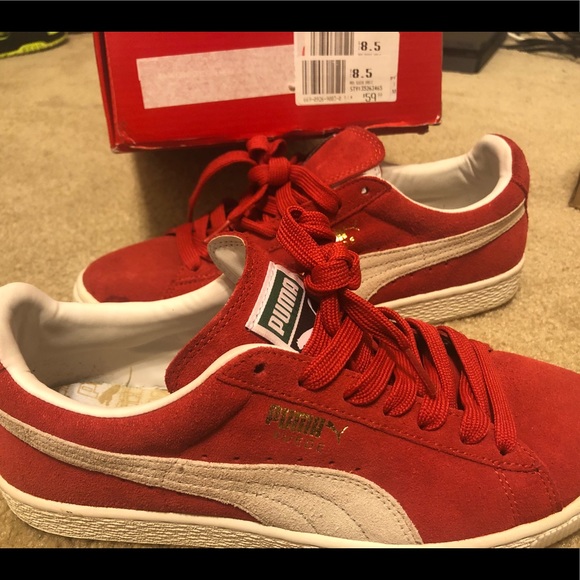 Puma - Picture 2 of 2